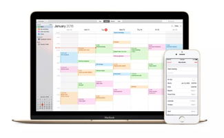 iCloud网页版反垃圾功能上线 信息处理新里程，治标更需治本